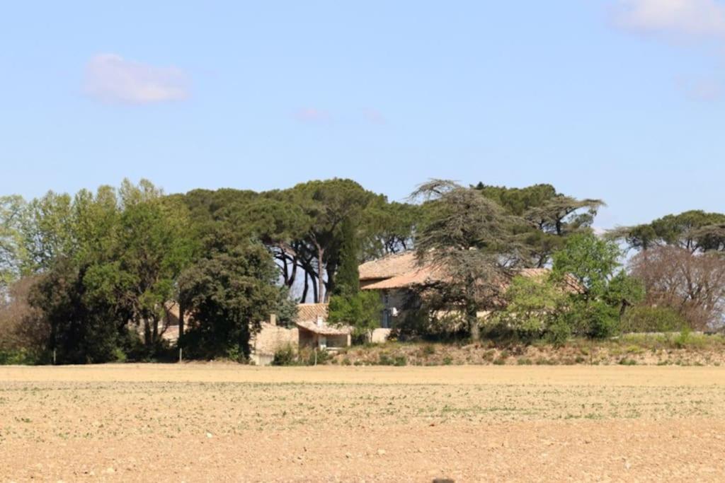 Hébergement de vacances Bastide Juliana Saint-Paul-Trois-Châteaux