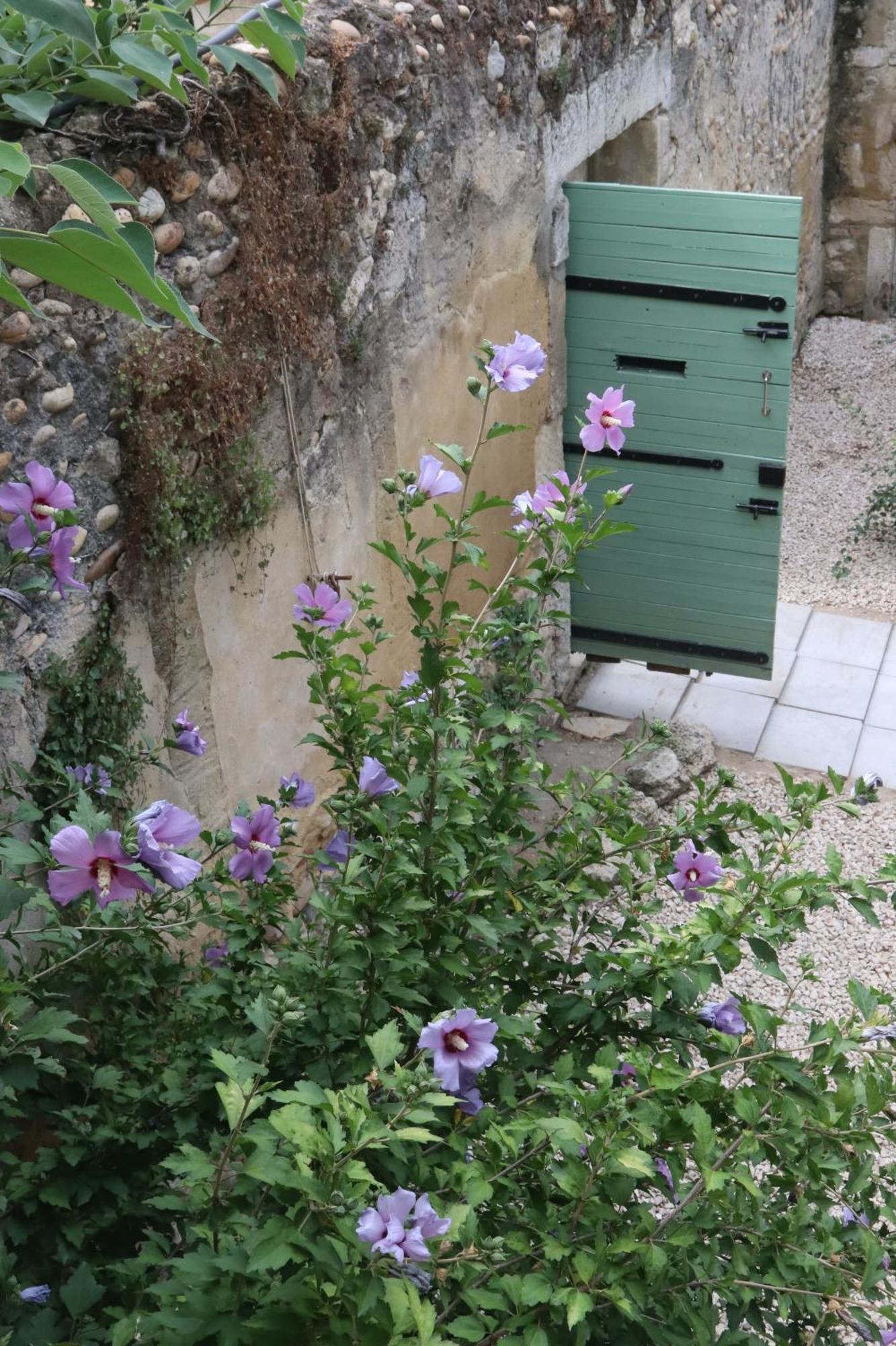 Hébergement de vacances Bastide Juliana Saint-Paul-Trois-Châteaux